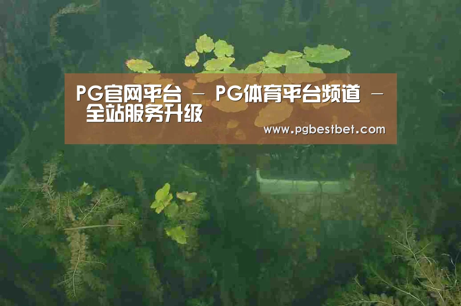 案例展示三(图1)