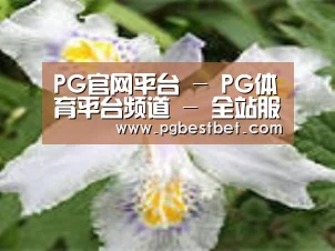 产品名称二