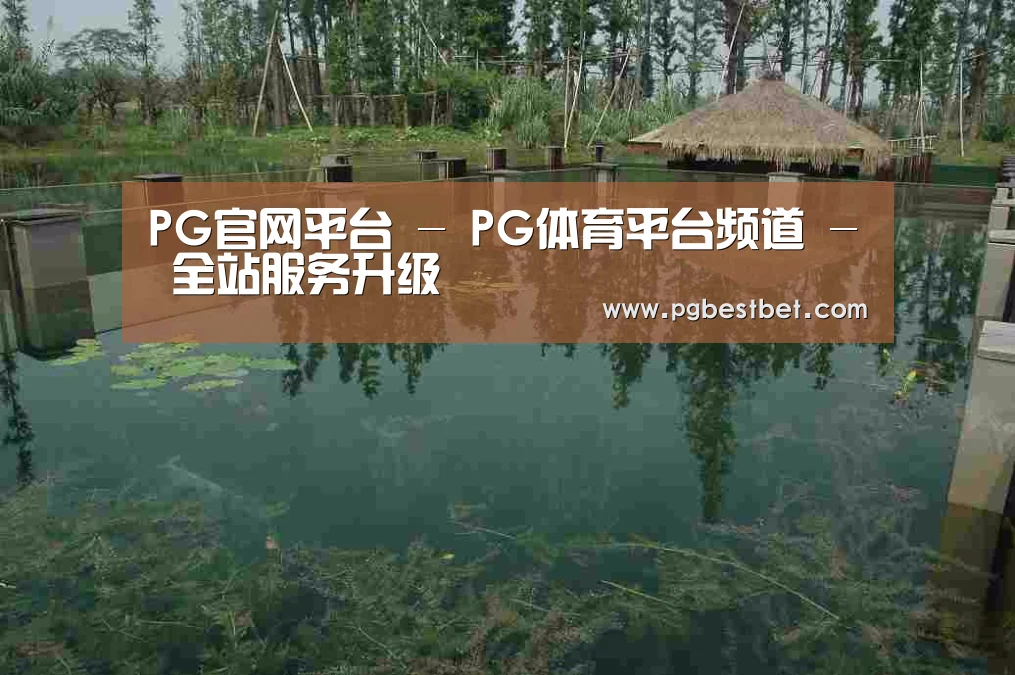案例展示二