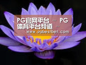 产品名称六