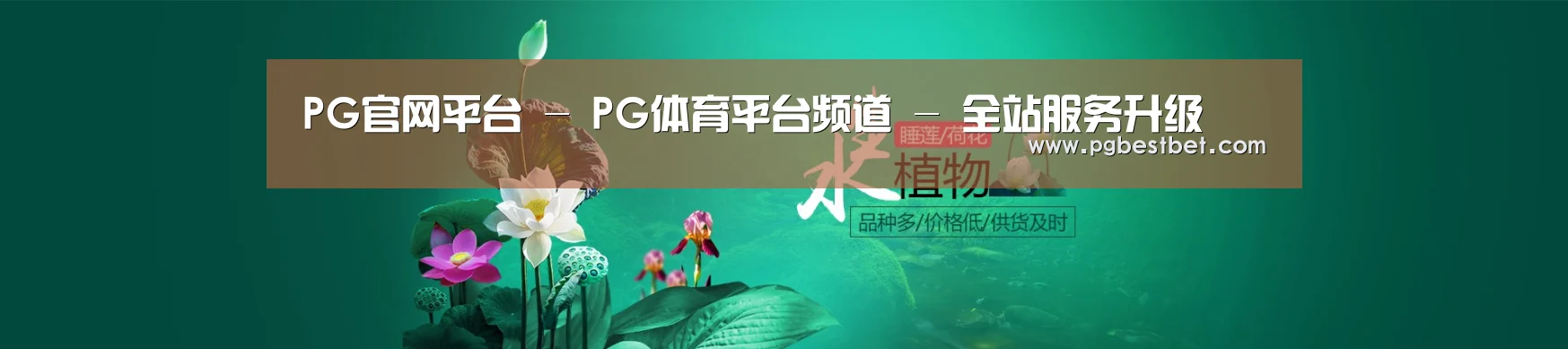 鲜花水草花卉网站模板