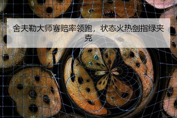 she-fu-lei-da-shi-sai-pei-shuai-ling-pao-zhuang-tai-huo-re-jian-zhi-lv-jia-ke-3-590.jpg