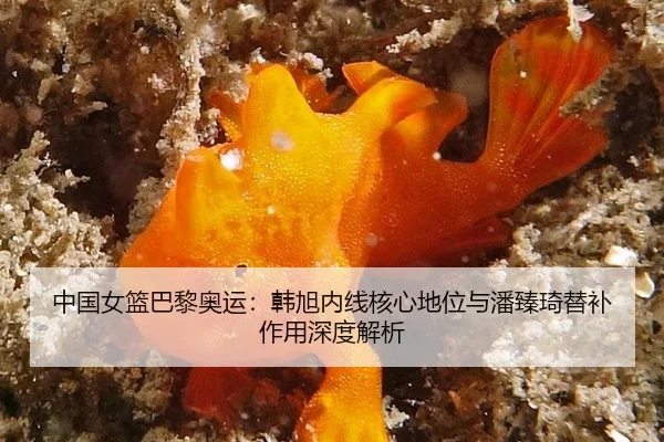 中国女篮巴黎奥运：韩旭内线核心地位与潘臻琦替补作用深度解析
