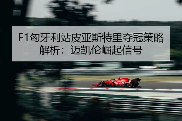 xiong-ya-li-zhan-pi-ya-si-te-li-duo-guan-ce-lve-jie-xi-mai-kai-lun-jue-qi-xin-hao-2-387.jpg