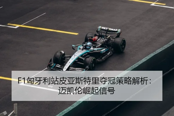 xiong-ya-li-zhan-pi-ya-si-te-li-duo-guan-ce-lve-jie-xi-mai-kai-lun-jue-qi-xin-hao-3-679.jpg